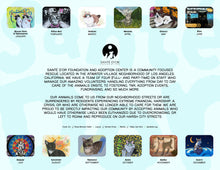 Load image into Gallery viewer, 2026 Santé D'Or 12-Month Calendar