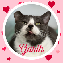 Load image into Gallery viewer, 2024 Send A Cat A Valentine - $20
