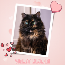 Load image into Gallery viewer, 2024 Send A Cat A Valentine - $5
